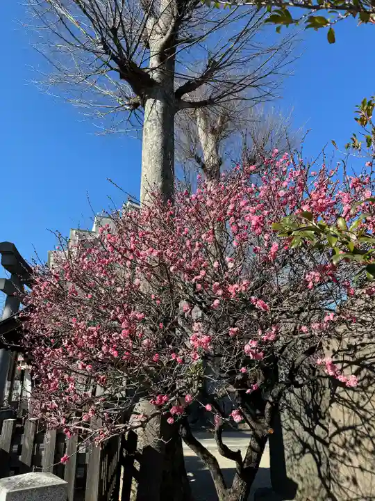 北野神社(東京都)