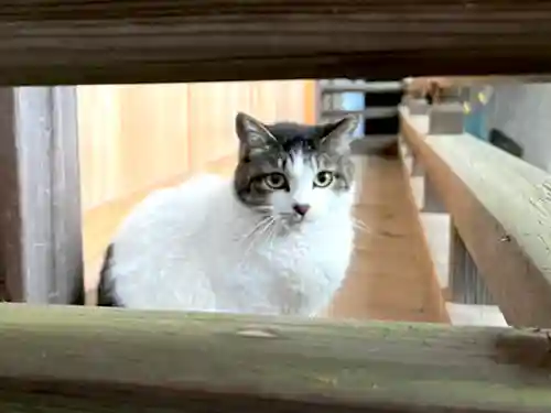 代々木八幡宮(東京都)