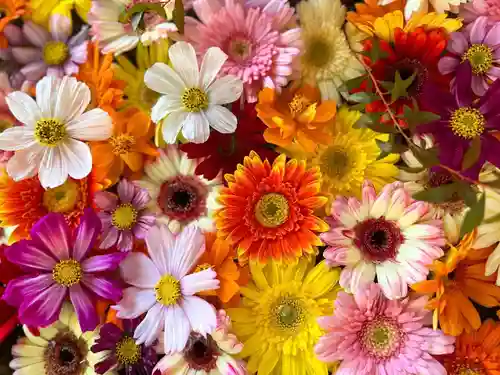 札幌諏訪神社の手水舎