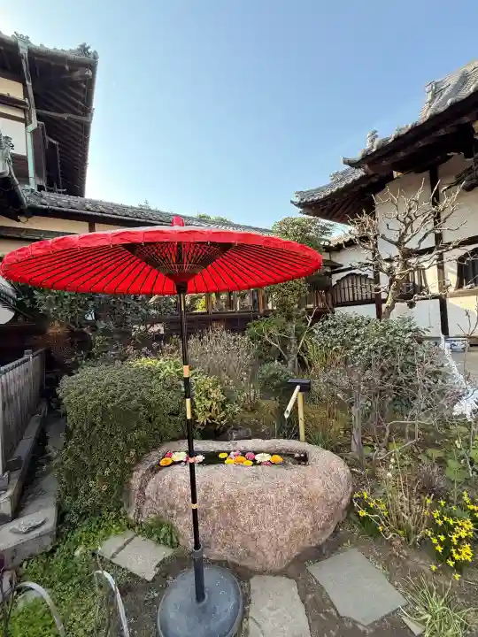 一乗寺の{uncategorized: "未分類", other: "その他", undefined: "問題あり", building: "その他建物", grave: "お墓", sacred_gate: "鳥居", guardian: "狛犬", statue: "像", buddha: "仏像", history: "歴史", nature: "自然", garden: "庭園", animal: "動物", pagoda: "塔", temizu: "手水舎", mountain_gate: "山門・神門", sanctuary: "本殿・本堂", subordinate: "末社・摂社", art: "芸術", scenery: "景色", jizo: "地蔵", ema: "絵馬", goshuin: "御朱印", omikuji: "おみくじ", items: "授与品その他", amulet: "お守り", goshuincho: "御朱印帳", eats: "食事", festival: "お祭り", votive_dance: "神楽", shichigosan: "七五三参", wedding: "結婚式", experience: "体験その他", initially: "初詣", around: "周辺", anti_infection: "感染症対策"}