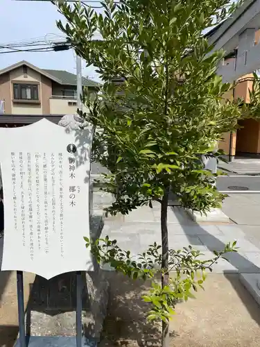 出雲大社埼玉分院(埼玉県)