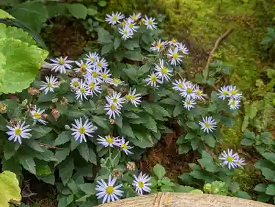 詩仙堂(丈山寺)(京都府)