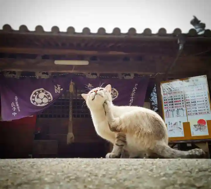 縣主神社の動物