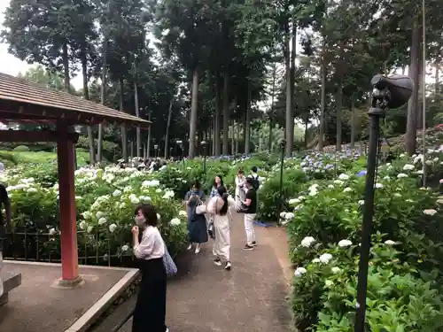 三室戸寺の庭園