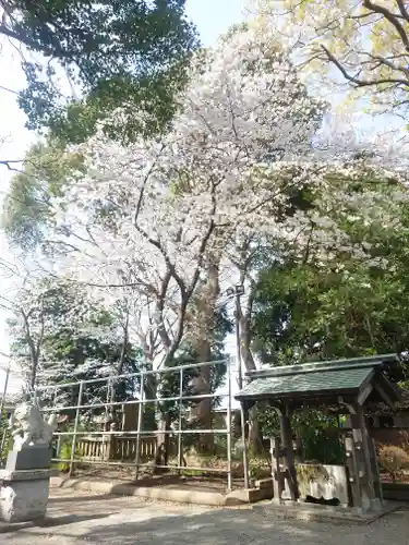 倉見神社(神奈川県)