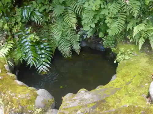 長勝寺の庭園