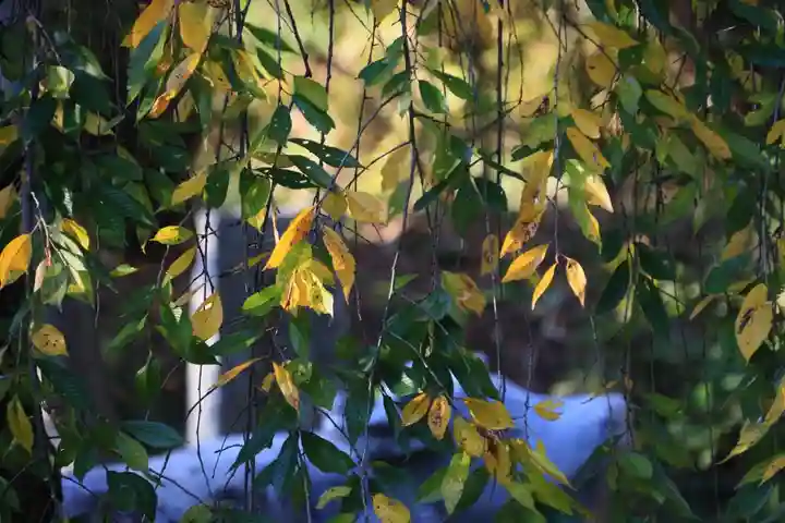 豊景神社の庭園