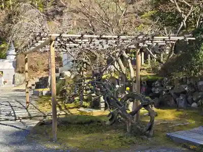 今熊野観音寺(京都府)