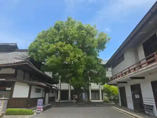 円満院門跡(滋賀県)