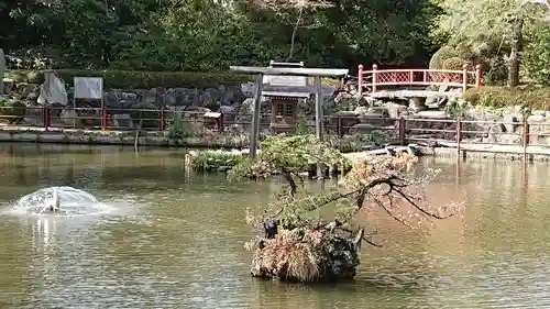 越ヶ谷久伊豆神社の庭園