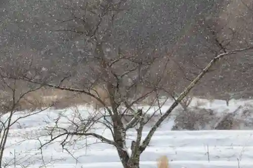 高司神社〜むすびの神の鎮まる社〜の自然