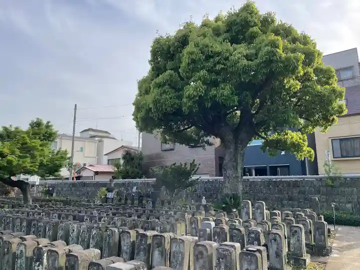 浄名院(東京都)