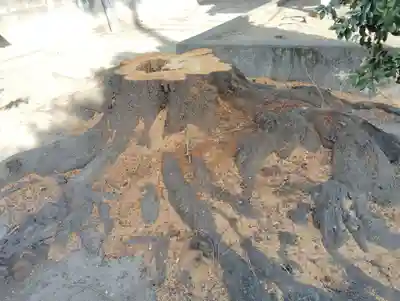 三俣神社(群馬県)