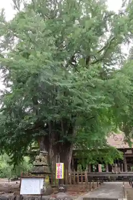 新宮熊野神社(福島県)