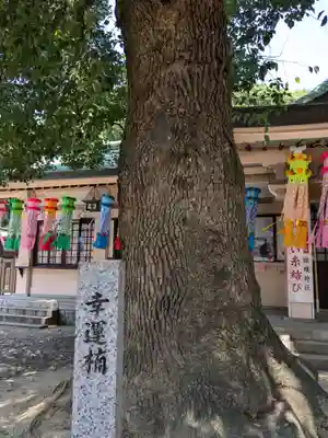 真清田神社(愛知県)