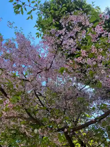 中山神社(埼玉県)