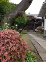 蓮乗院の本殿・本堂