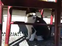 妙行寺(福井県)