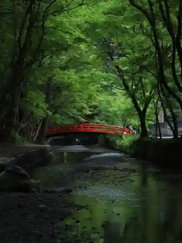 小國神社の{uncategorized: "未分類", other: "その他", undefined: "問題あり", building: "その他建物", grave: "お墓", sacred_gate: "鳥居", guardian: "狛犬", statue: "像", buddha: "仏像", history: "歴史", nature: "自然", garden: "庭園", animal: "動物", pagoda: "塔", temizu: "手水舎", mountain_gate: "山門・神門", sanctuary: "本殿・本堂", subordinate: "末社・摂社", art: "芸術", scenery: "景色", jizo: "地蔵", ema: "絵馬", goshuin: "御朱印", omikuji: "おみくじ", items: "授与品その他", amulet: "お守り", goshuincho: "御朱印帳", eats: "食事", festival: "お祭り", votive_dance: "神楽", shichigosan: "七五三参", wedding: "結婚式", experience: "体験その他", initially: "初詣", around: "周辺", anti_infection: "感染症対策"}
