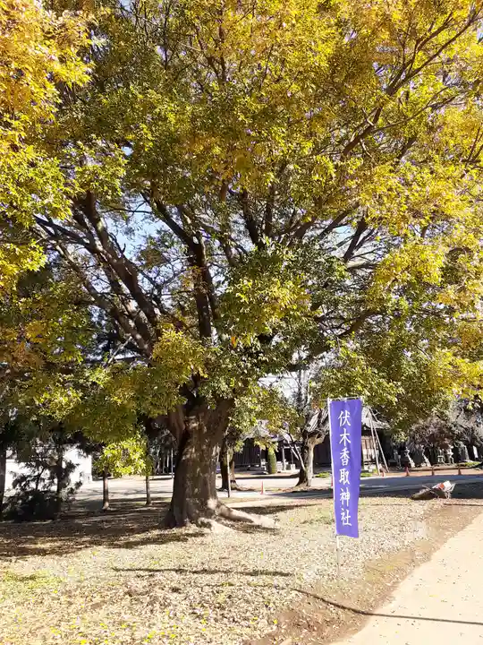 伏木香取神社の自然