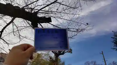 住吉神社の自然