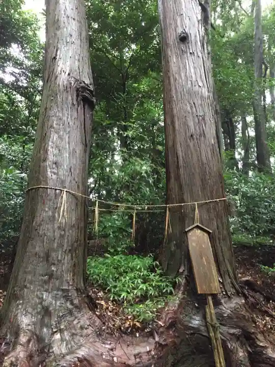 阿射加神社の自然