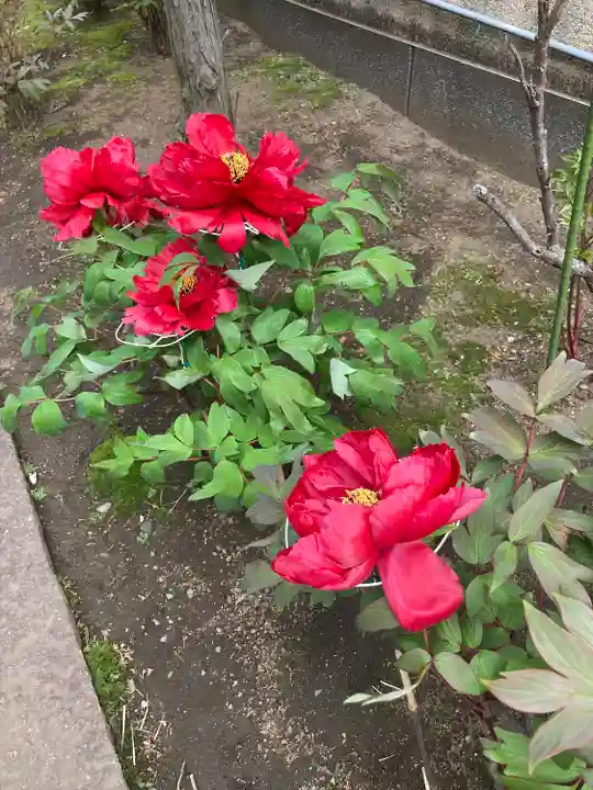 慈眼寺(神奈川県)