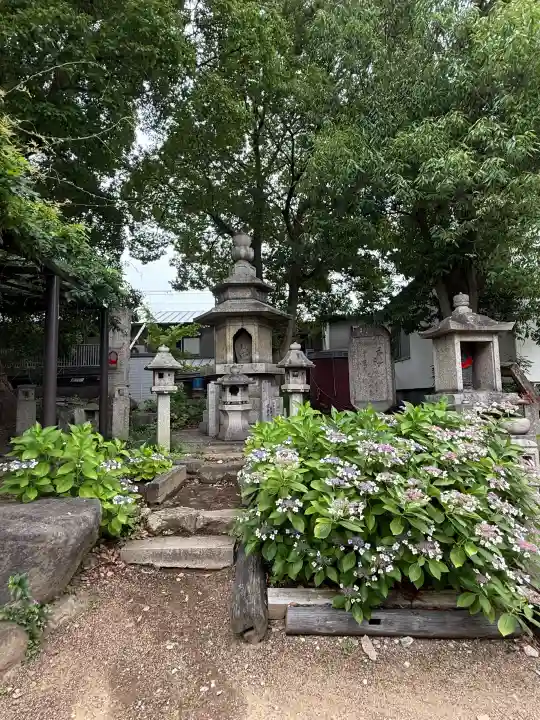 葛井寺(大阪府)
