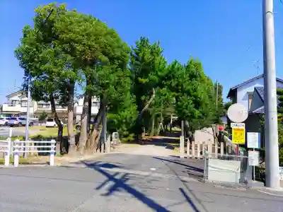 勝幡神社の自然