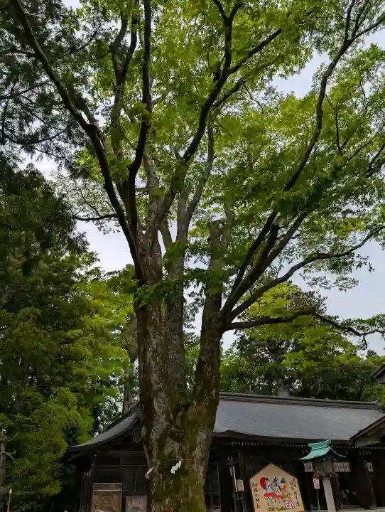 雄山神社峰本社の{uncategorized: "未分類", other: "その他", undefined: "問題あり", building: "その他建物", grave: "お墓", sacred_gate: "鳥居", guardian: "狛犬", statue: "像", buddha: "仏像", history: "歴史", nature: "自然", garden: "庭園", animal: "動物", pagoda: "塔", temizu: "手水舎", mountain_gate: "山門・神門", sanctuary: "本殿・本堂", subordinate: "末社・摂社", art: "芸術", scenery: "景色", jizo: "地蔵", ema: "絵馬", goshuin: "御朱印", omikuji: "おみくじ", items: "授与品その他", amulet: "お守り", goshuincho: "御朱印帳", eats: "食事", festival: "お祭り", votive_dance: "神楽", shichigosan: "七五三参", wedding: "結婚式", experience: "体験その他", initially: "初詣", around: "周辺", anti_infection: "感染症対策"}