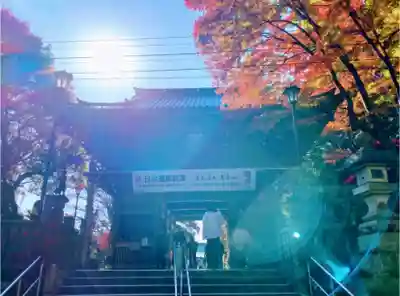 高尾山薬王院の山門・神門