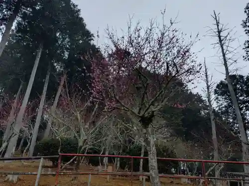 石山寺(滋賀県)