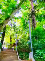 阿夫利神社の建物その他