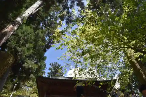 比叡山延暦寺の末社・摂社