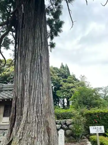 瑞巌寺(岐阜県)