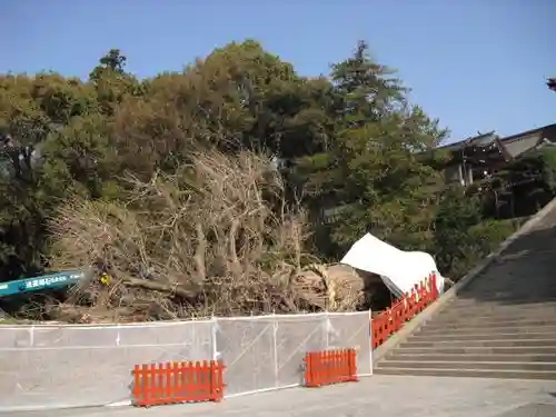 鶴岡八幡宮のその他建物