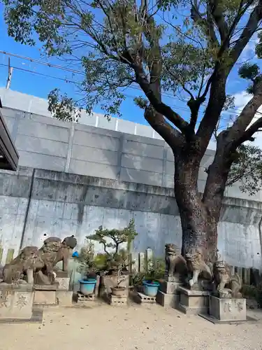 八劔神社の狛犬