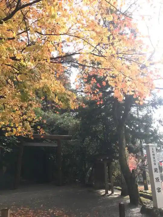 瀧原宮(皇大神宮別宮)の自然