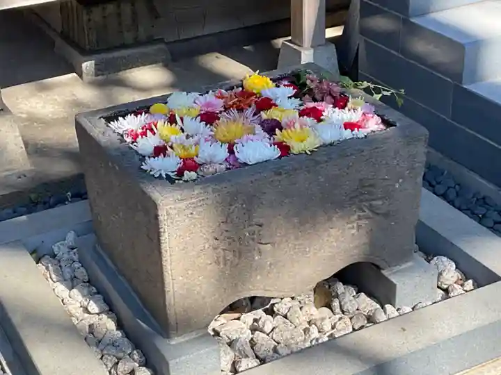 観音寺(東京都)