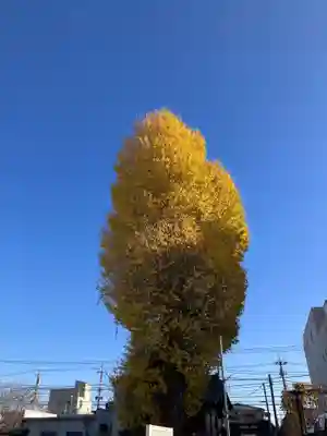 熊野神社(神奈川県)