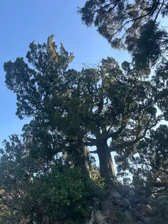 森戸大明神(森戸神社)(神奈川県)