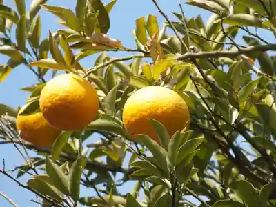 阿弥陀寺(滋賀県)