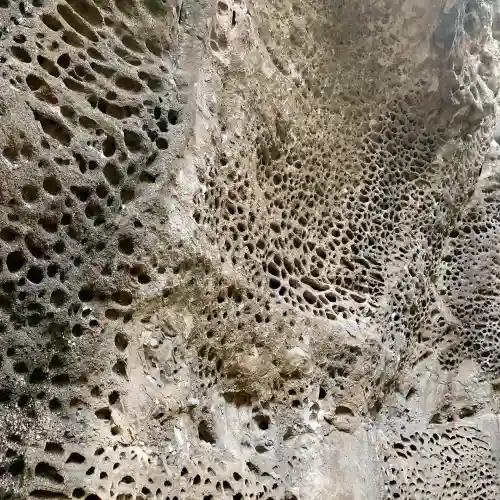 救馬溪観音の{uncategorized: "未分類", other: "その他", undefined: "問題あり", building: "その他建物", grave: "お墓", sacred_gate: "鳥居", guardian: "狛犬", statue: "像", buddha: "仏像", history: "歴史", nature: "自然", garden: "庭園", animal: "動物", pagoda: "塔", temizu: "手水舎", mountain_gate: "山門・神門", sanctuary: "本殿・本堂", subordinate: "末社・摂社", art: "芸術", scenery: "景色", jizo: "地蔵", ema: "絵馬", goshuin: "御朱印", omikuji: "おみくじ", items: "授与品その他", amulet: "お守り", goshuincho: "御朱印帳", eats: "食事", festival: "お祭り", votive_dance: "神楽", shichigosan: "七五三参", wedding: "結婚式", experience: "体験その他", initially: "初詣", around: "周辺", anti_infection: "感染症対策"}