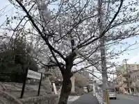 兵庫縣神戸護國神社(兵庫県)