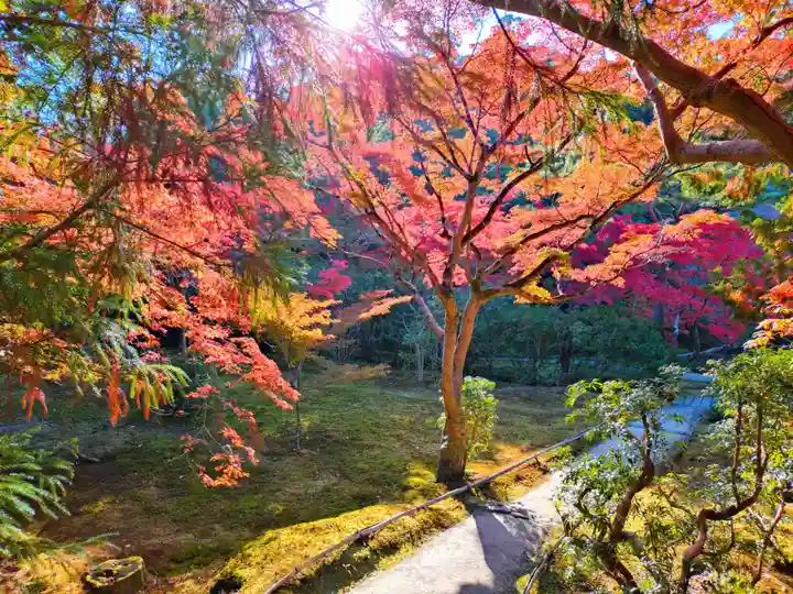 寿量山 速成寺(奈良県)
