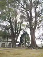 八幡神社里宮の自然