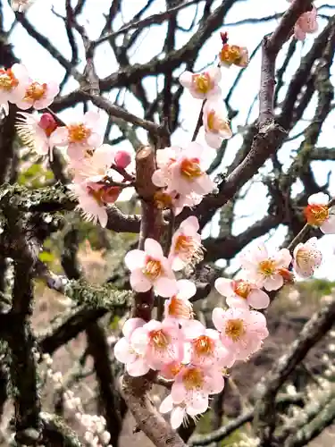 瑞泉寺(神奈川県)