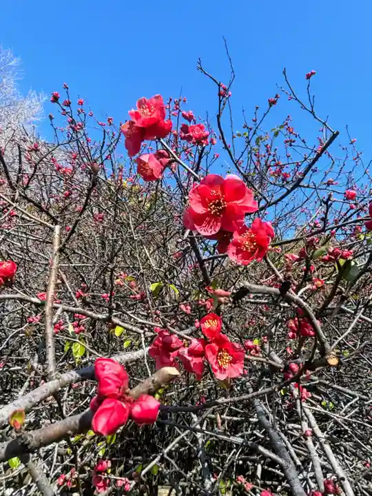 冠稲荷神社(群馬県)