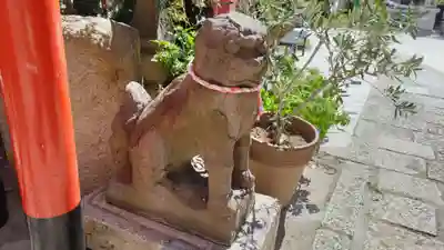 尼崎えびす神社の狛犬