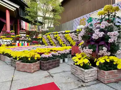 すがも鴨台観音堂(東京都)